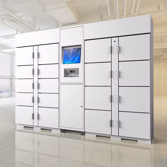 Customized Steel Electronic Luggage Storage Locker Qr Code Intelligent Parcel Lockers