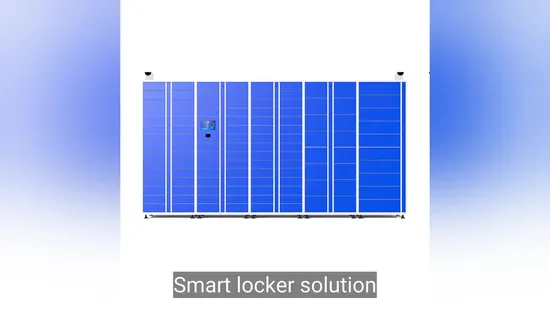 Customized Steel Electronic Luggage Storage Locker Qr Code Intelligent Parcel Lockers