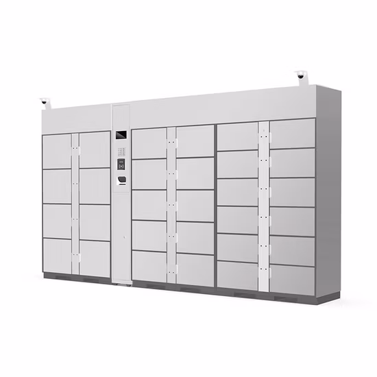 Customized Steel Electronic Luggage Storage Locker Qr Code Intelligent Parcel Lockers