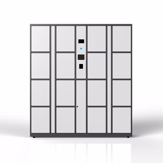 Generi alimentari refrigerati, temperatura congelata fresca