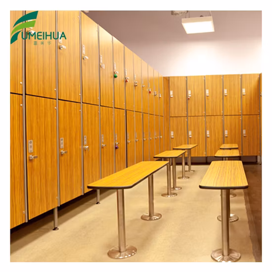 Armadietto compatto in laminato per la lavanderia della palestra degli studenti delle scuole