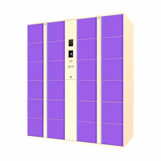 Armadietto per la gestione degli strumenti intelligenti in metallo personalizzato dal produttore