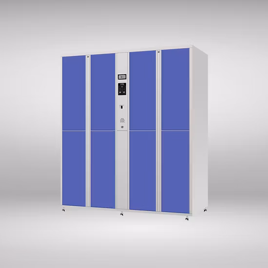 Codice a barre Qr Code sicuro &Nbsp;  Armadietto per deposito bagagli da spiaggia